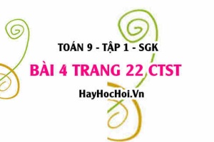 Bài 4 trang 22 Toán 9 tập 1 Chân trời sáng tạo SGK